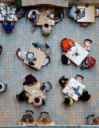 Eat And Drink Work Scheme Employee